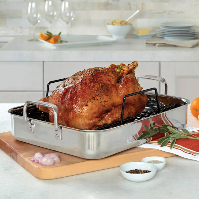 40011-9983TCV3PStainlessRoaster_LS_01_crop.webp