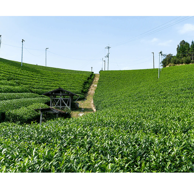 LuLuLun: Premium Travel Face Mask (7 Sheets)-gallery-46533878808827