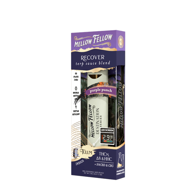 Recover Blend - Terp Sauce 2ml Disposable Vape - Purple Punch (Indica)-gallery-37327637676238