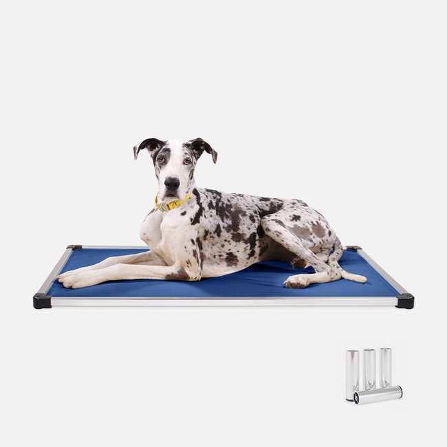 Chew Proof Armored™ Padded Dog Crate Bed-gallery-36163550642315