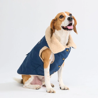 Workdog Insulated Utility Jacket