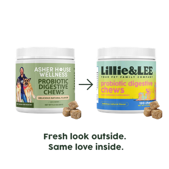 Probiotic Digestive Chews | Flora + Flourish