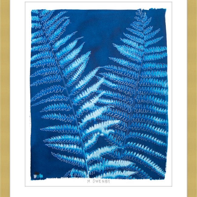 Ostrich Fern-gallery-48954474823971