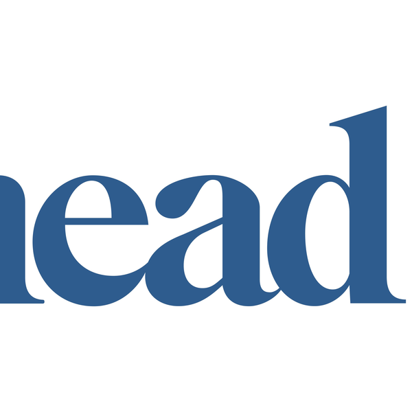 Launching in the US, Knead Introduces World’s First Therapeutic Cat Bed