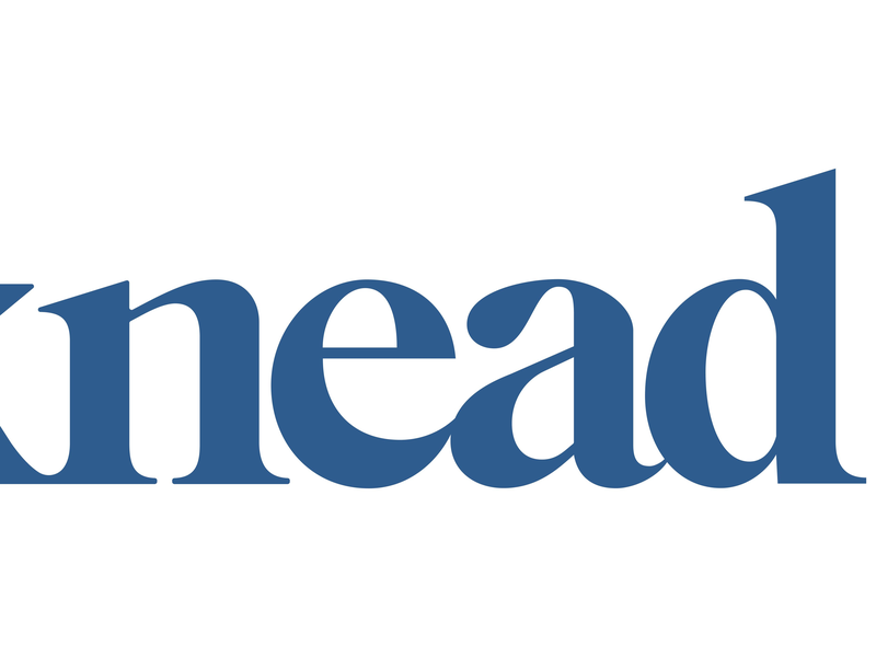 Launching in the US, Knead Introduces World’s First Therapeutic Cat Bed