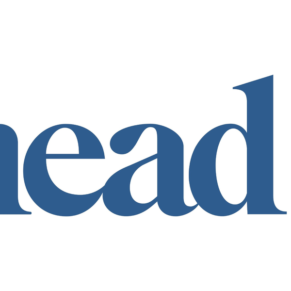 Knead Cats Supports National Adopt a Cat Month with Shelter Donations and a Purr-fect Giveaway