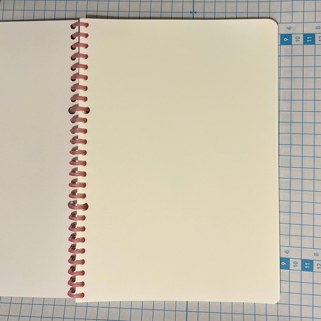 Funny Case Brief Notebooks-gallery-32691614580802