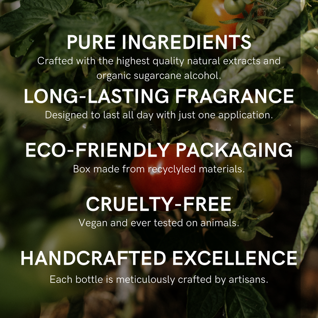 109 - Eau De Parfum-gallery-44806252233012