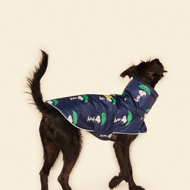 Snoopy and Woodstock Raincoat - Navy-gallery-61760237601054