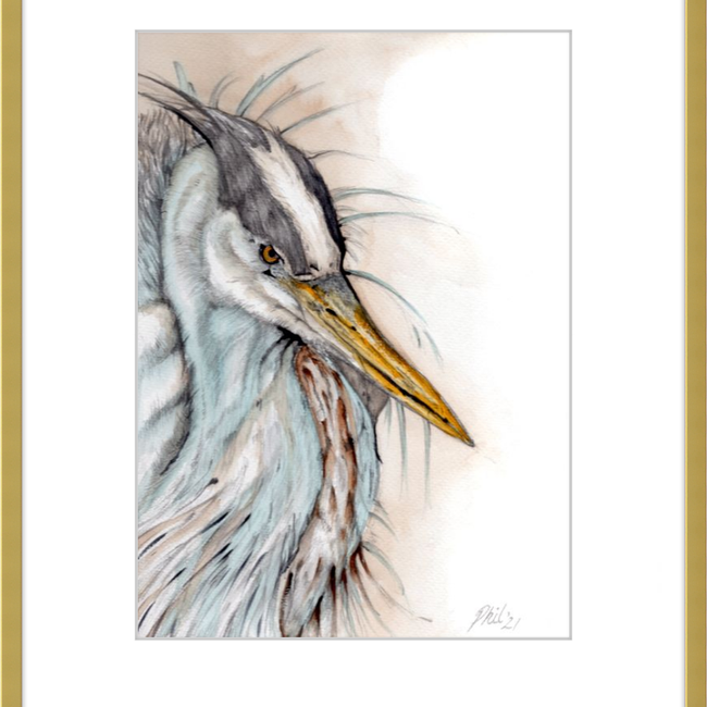 Heron-gallery-49475810525475