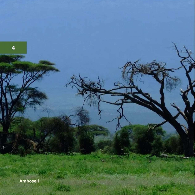 Nairobi Kenya Trip Planner: Safari, Culture & City Guidebook-gallery-31745983807545