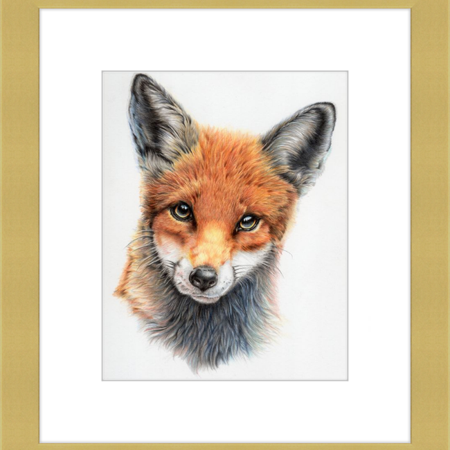 Michael the Red Fox-gallery-49475879207203