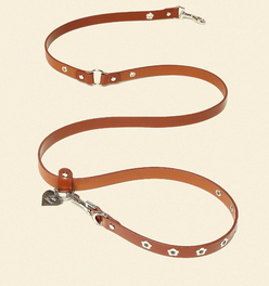 Hazel - Flower Power Leash