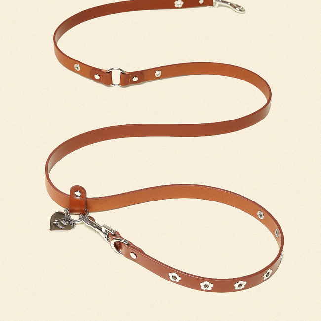 Hazel - Flower Power Leash-gallery-46307644047646