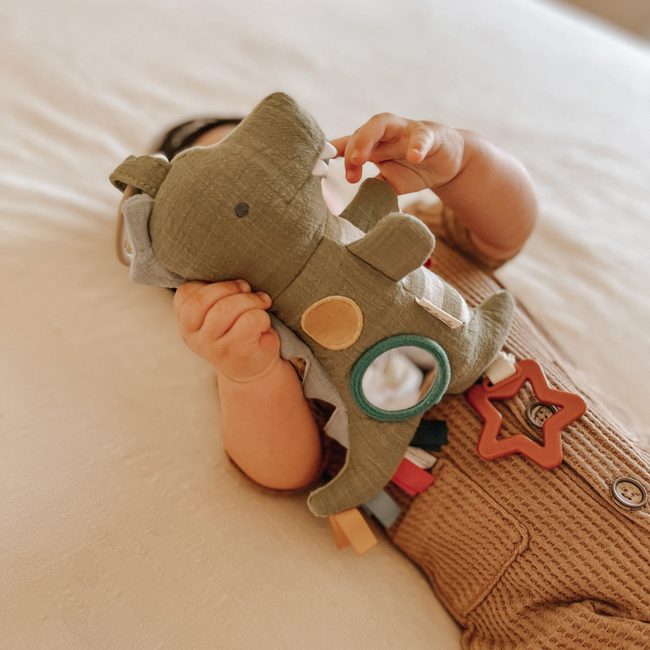 Bitzy Traveler™ Developmental Sensory Toy-gallery-38011078508715