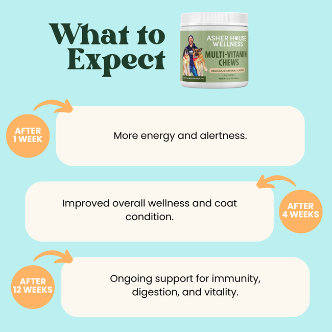 Multi-Vitamin Chews | Energy + Defense-gallery-35118020100305