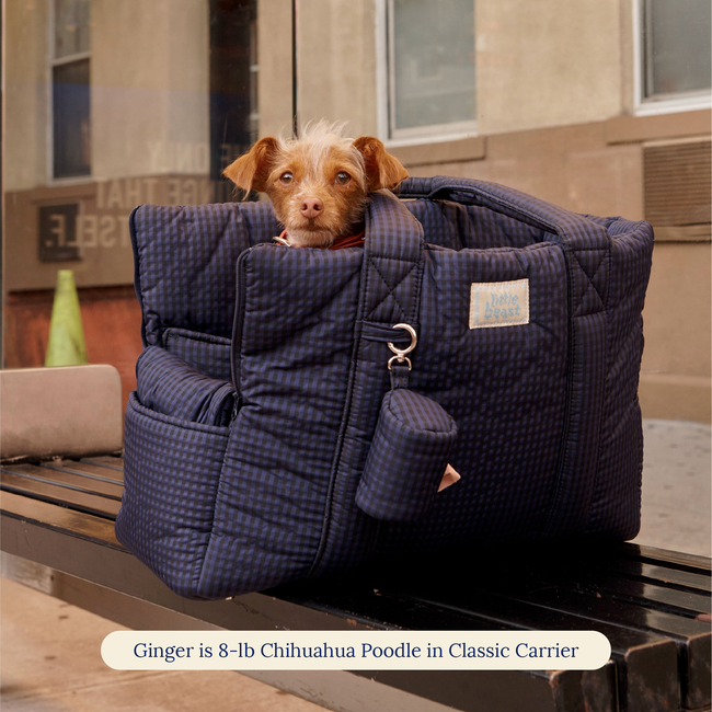 The Little Beast Carrier - Purple Haze-gallery-61842218877214