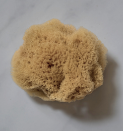 NATURAL SEA SPONGE