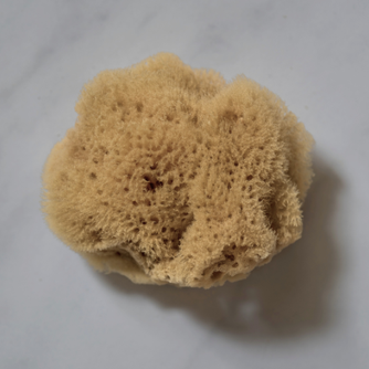 NATURAL SEA SPONGE
