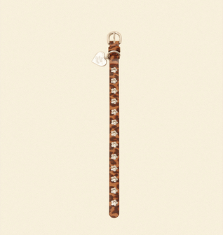Cougar - Flower Power Collar