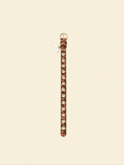 Cougar - Flower Power Collar