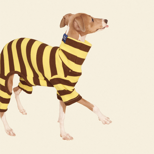 Dijon Onesie-gallery-61904992436510