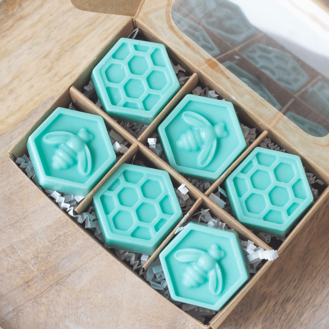 Sedona Sunrise Wax Melts Aloe + Agave +Patchouli | Honeycomb Tarts Pack of 6-gallery-29115635171398