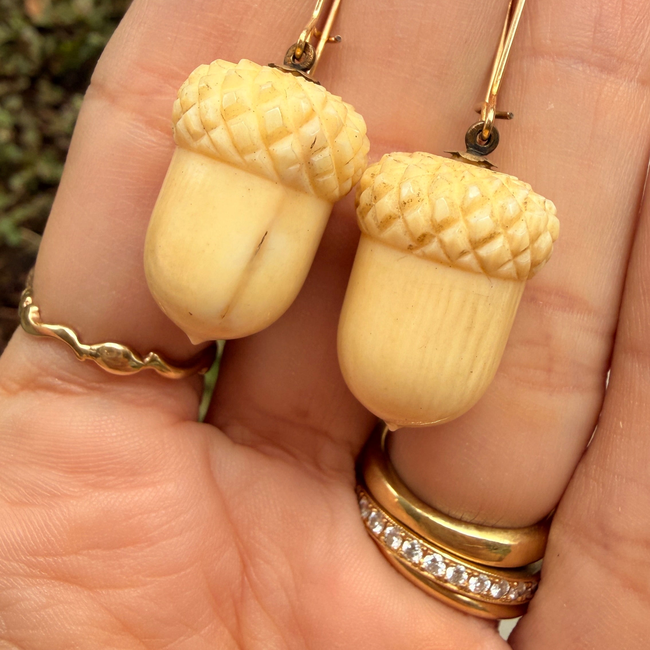 Antique Victorian carved acorns with 14K ear wires-gallery-56908243829051