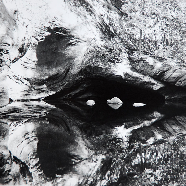 Babs Eco-chic scrunchies - Nature Print, Poly-Georgette, Various Sizes-gallery-45486359478568