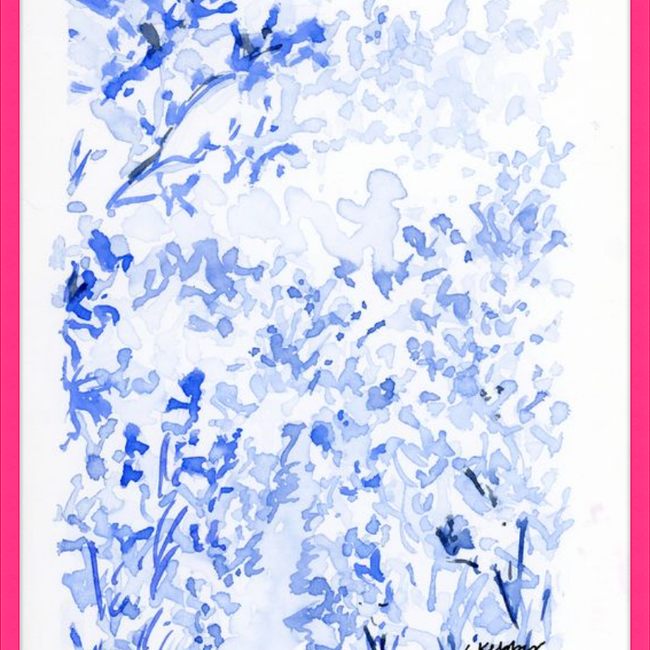 Flower Field-gallery-47153661739299
