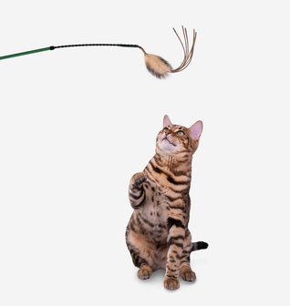 Cat Laser Wand