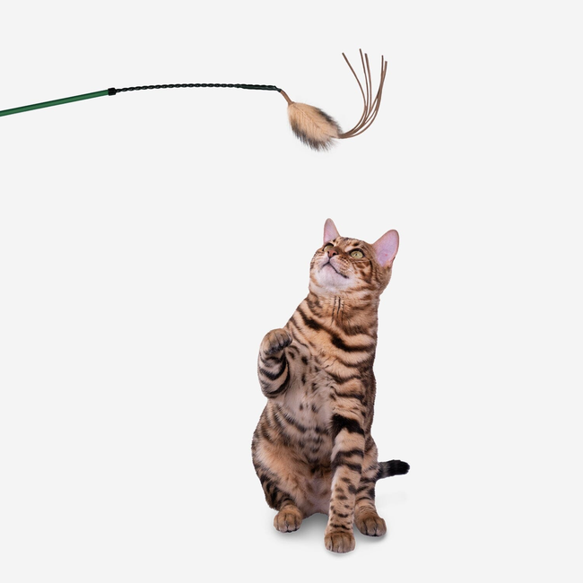 Cat Laser Wand-gallery-30866338119703