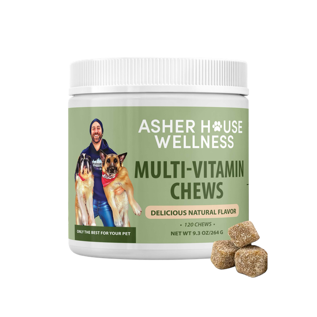 Multi-Vitamin Chews | Energy + Defense-gallery-35118018953425