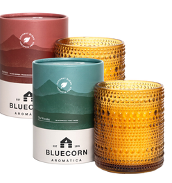 Winter Scented Candle Pair: Pine & Spice Aromática