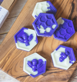 Scented Wax Melts Honeycombs I put a spell on you - Set of 6