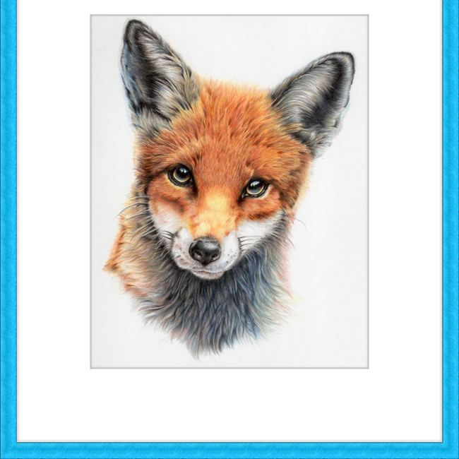 Michael the Red Fox-gallery-49475881042211