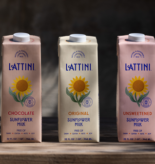 Lattini Sunflower Milk Variety Pack