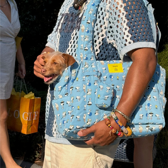Snoopy Chillin Carrier - PEANUTS-gallery-61738733273374