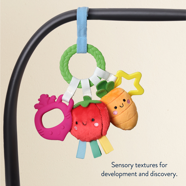 Bitzy Busy Ring™ Teething Activity Toy-gallery-39652968366251
