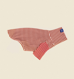 Earth and Fire Shirt