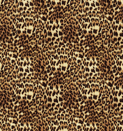 Peel and Stick Wallpaper - Fancy Pants / Bob