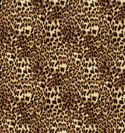 Peel and Stick Wallpaper - Fancy Pants / Bob