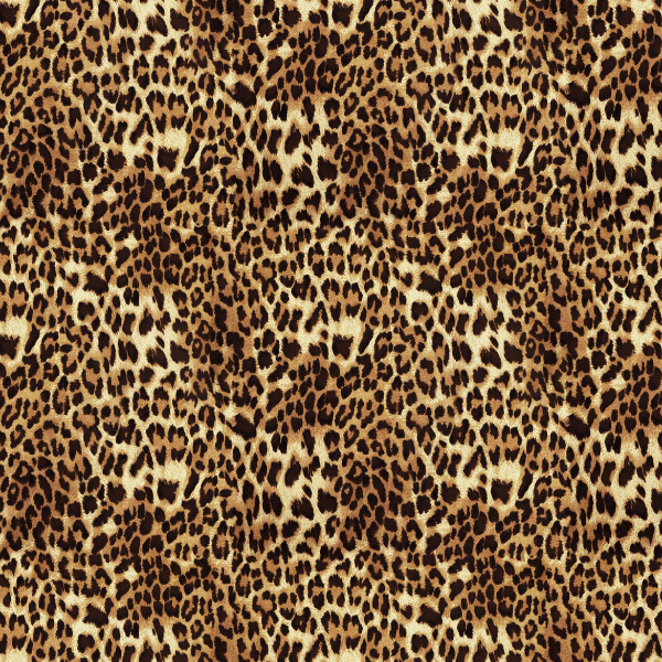 Peel and Stick Wallpaper - Fancy Pants / Bob-gallery-30560083607665