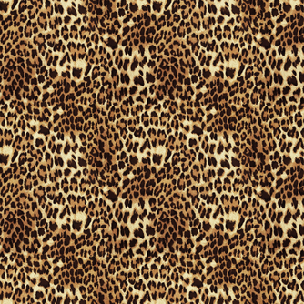 Peel and Stick Wallpaper - Fancy Pants / Bob