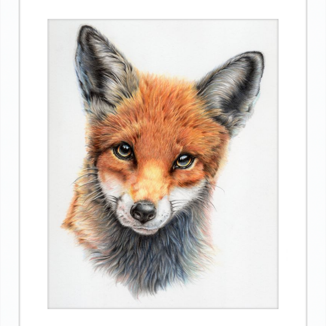 Michael the Red Fox-gallery-49475881500963