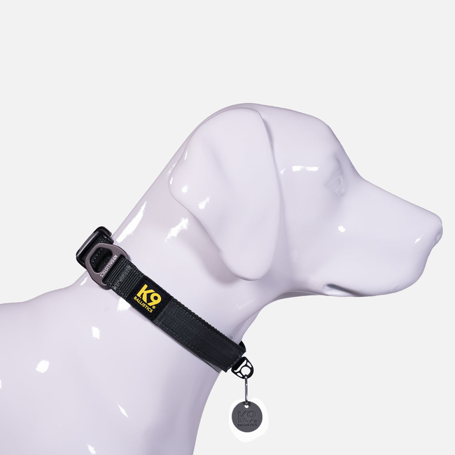 K9 Everyday™ Dog Collar-gallery-35768814960779