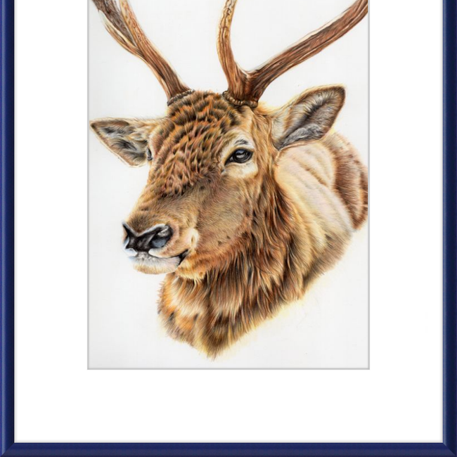 John the Deer-gallery-49475792699683