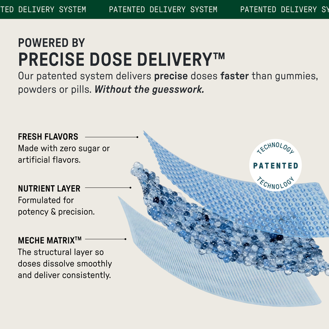 Field Trip-gallery-52710951485744