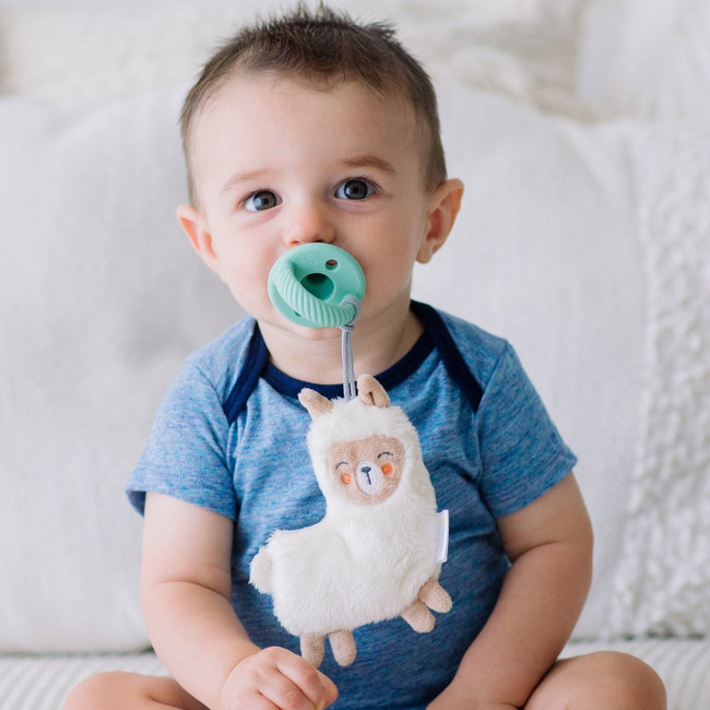Sweetie Pal™ - Pacifier & Stuffed Animal-gallery-12781943881843