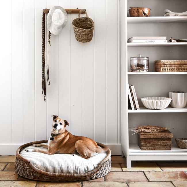 Boone Woven Dog Bed -gallery-53881064849778